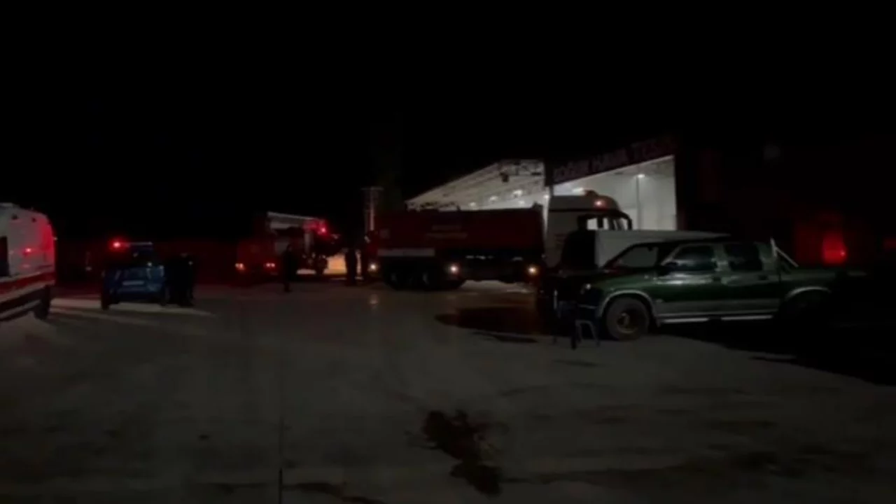 Bursa'da gece yarısı soğuk hava deposunda yangın paniği!