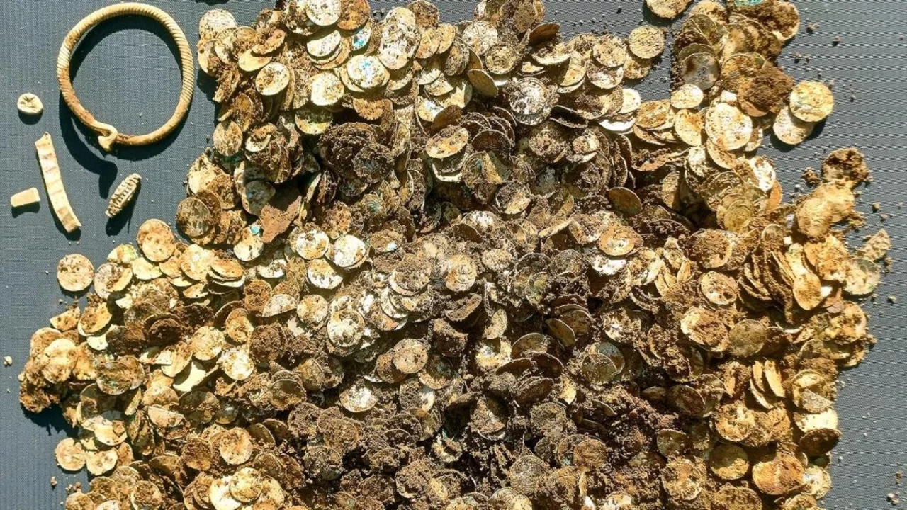 Satın aldıkları araziden "hazine" &ccedil;ıktı! Hayatları bir anda değişti