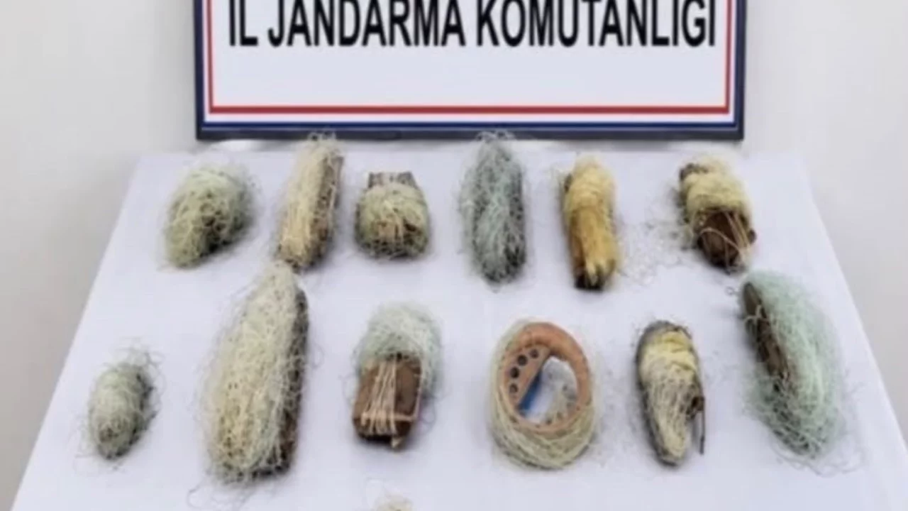 Bolu'da 22,5 metre kaçak ağ ele geçirildi