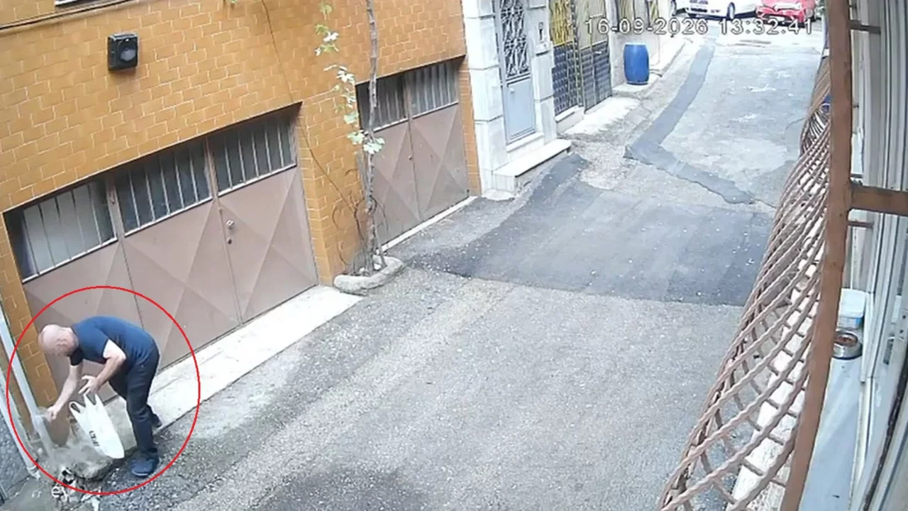 Bursa'da kediler için bırakılan mama kaplarını çöpe attılar! O anlar kamerada...