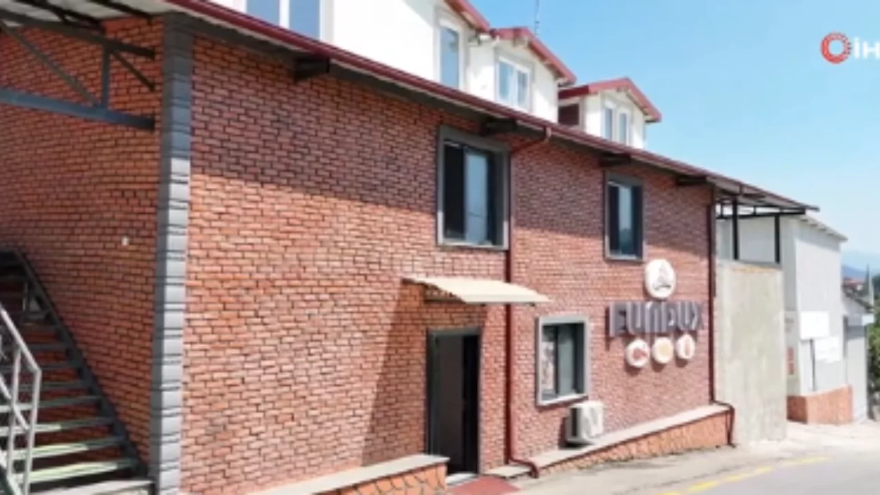 Sakarya'da t&uuml;m k&ouml;y&uuml;n ortak olduğu fabrikada fındık &uuml;retiliyor