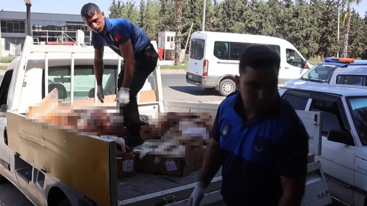 Doğrudan sofralara gelecekti!  Y&uuml;zlerce kilo ele ge&ccedil;irildi