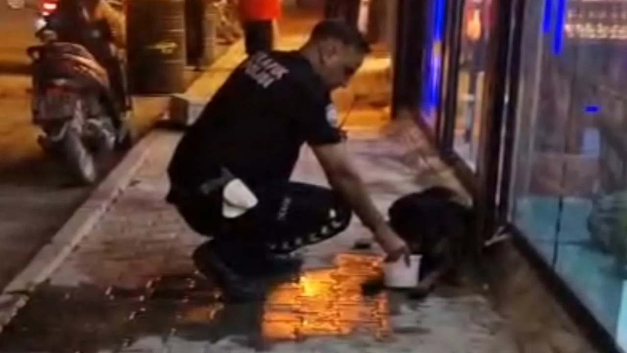 Samandağ'da silahla vurulan sokak köpeğine polis ekipleri sahip çıktı
