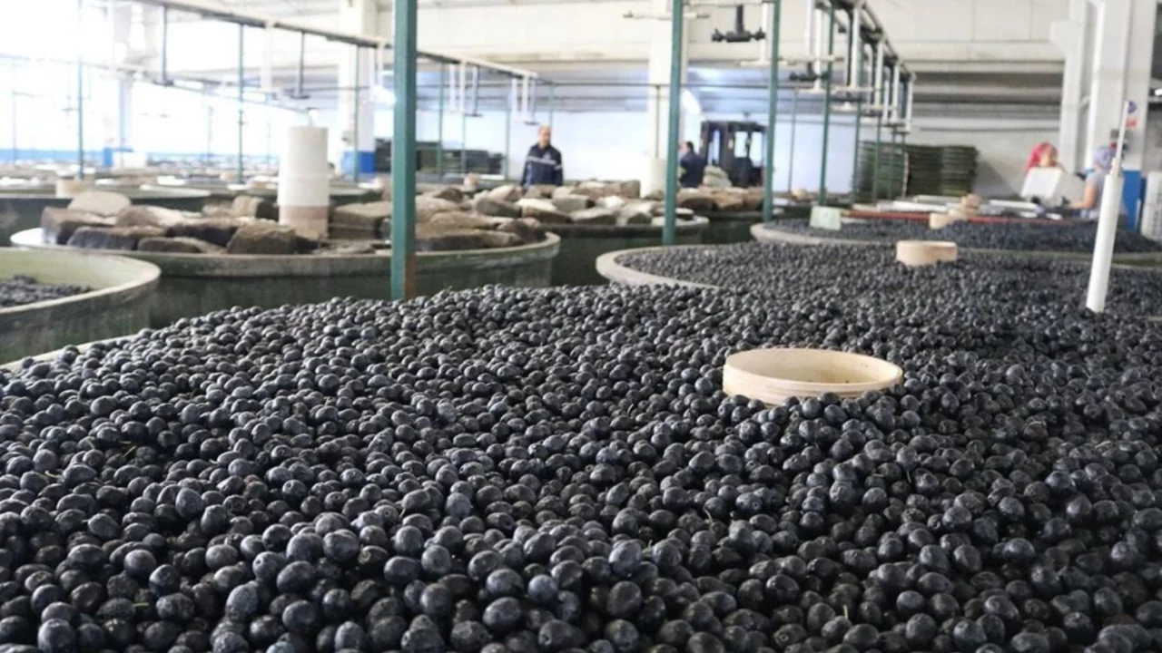 Marmarabirlik'ten yüzlerce üretici ortağına uyarı! Ortaklığınız iptal olabilir...