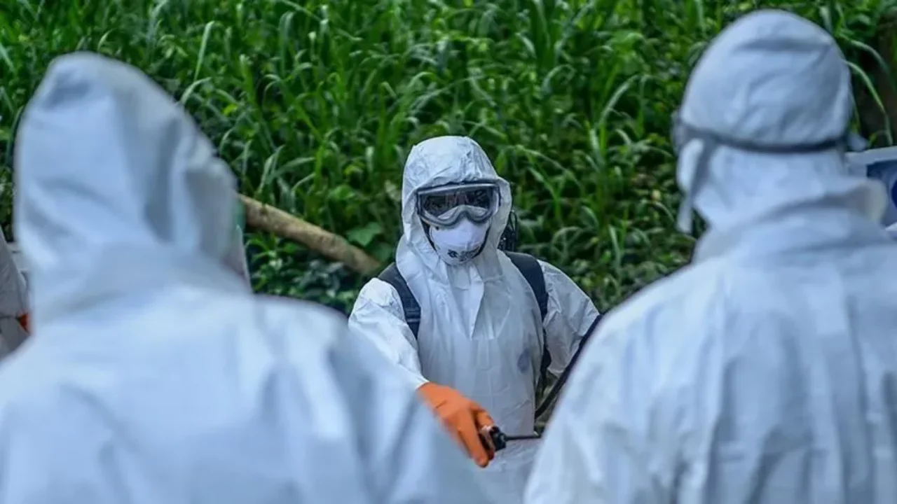 KDC'de ebola alarmı! 7 eyalete yayıldı, bilanço ağırlaşıyor