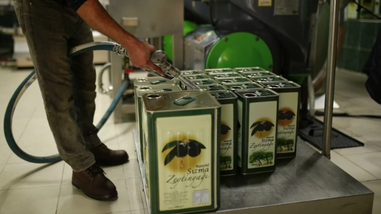 Bursa'da zeytinyağı fabrikaları tam kapasite sezona hazırlanıyor!