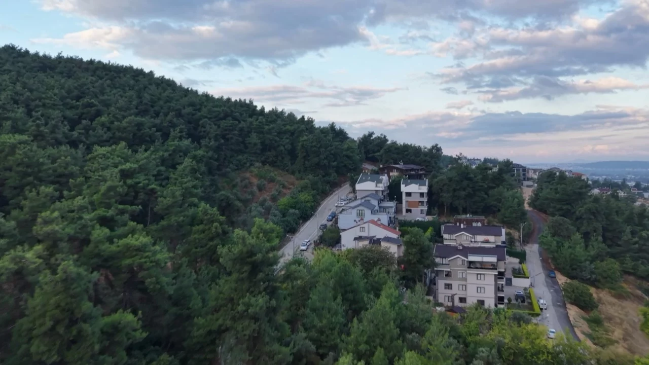 Bursa'da ayı alarmı! 3 ayı mahalleye kadar indi