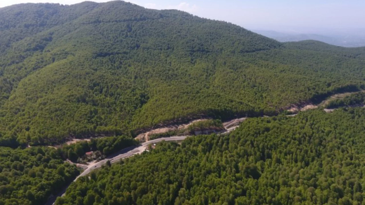 Bursa Orman Bölge Müdürlüğü'nden "Orman alanları arsa yapılıyor" iddialarına açıklama!