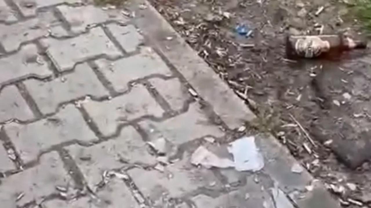 Parkları çocuklara bırakın! Bursa'da tepki çeken görüntüler