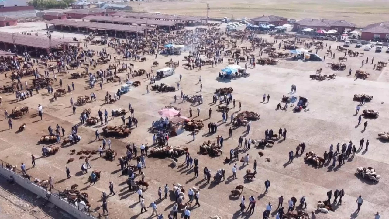 Ağrı'da şap nedeniyle İl Hayvan Borsası 18 Ekim'den itibaren 30 gün kapatıldı