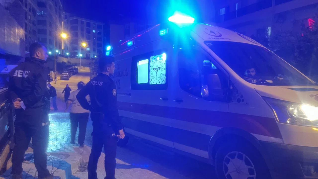 Bursa'da köpek korkusu kabusa döndü! Başını zemine vurdu