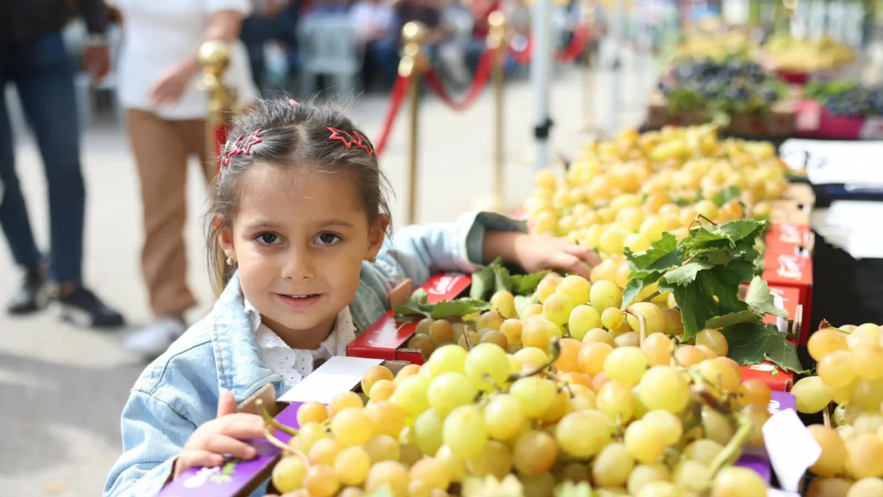 Osmangazi'de &uuml;z&uuml;m nereketi festivalle ta&ccedil;landı