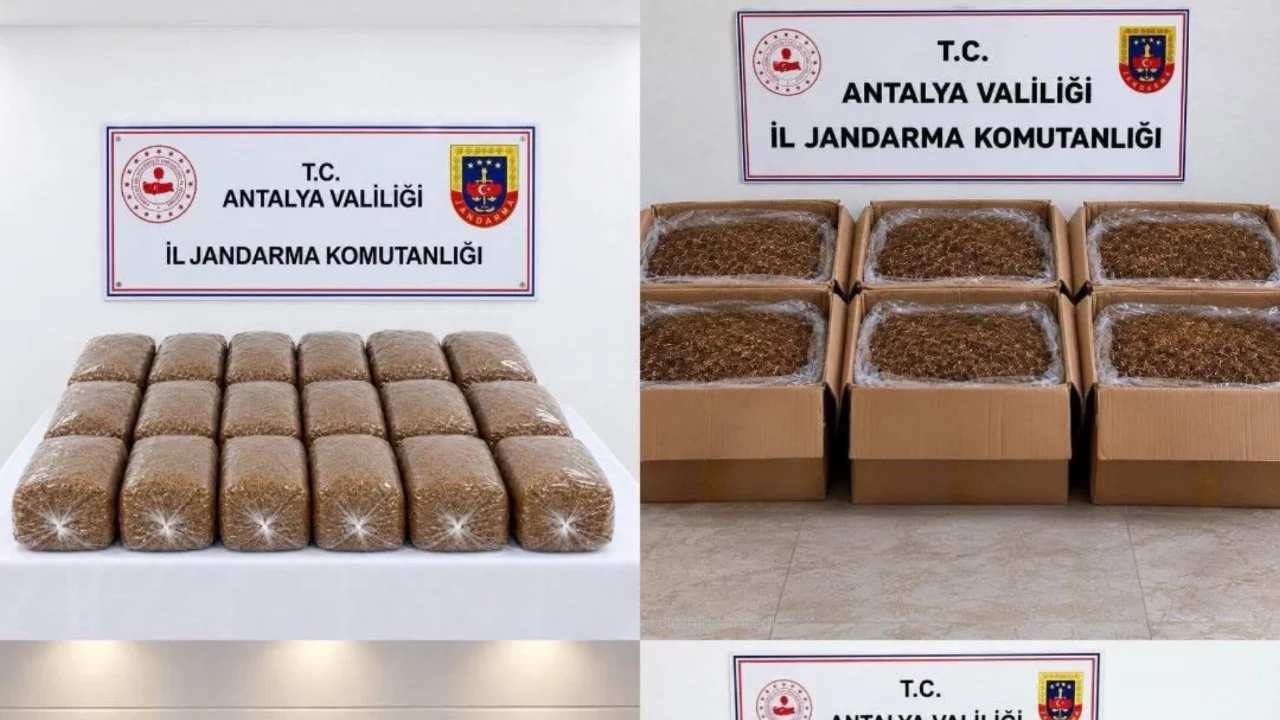 Yarım ton kıyılmış t&uuml;t&uuml;n ele ge&ccedil;irildi