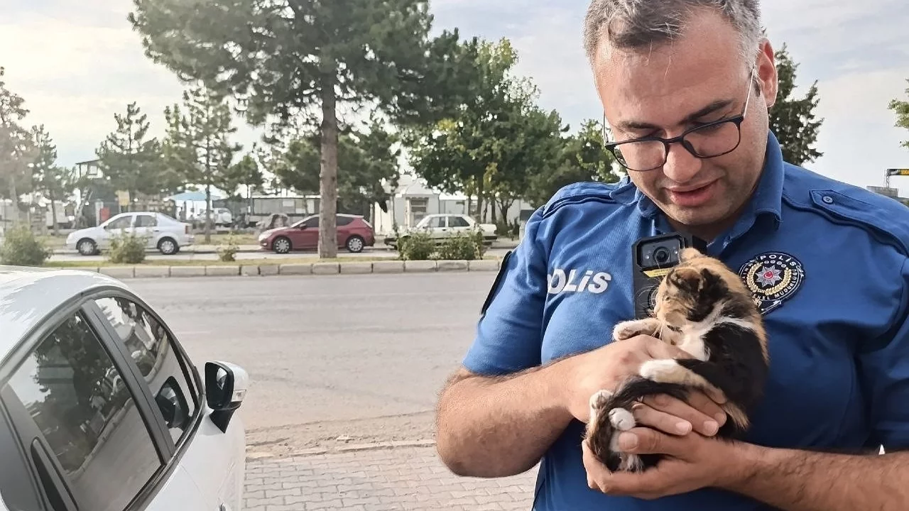 Polis bu kez bir yavru kedi için seferber oldu