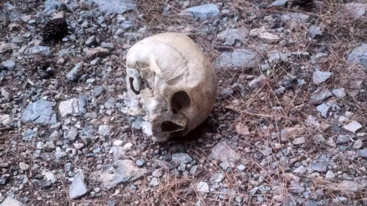 15 aydır kayıptı! Ormanda bulunanlar her şeyi değiştirdi