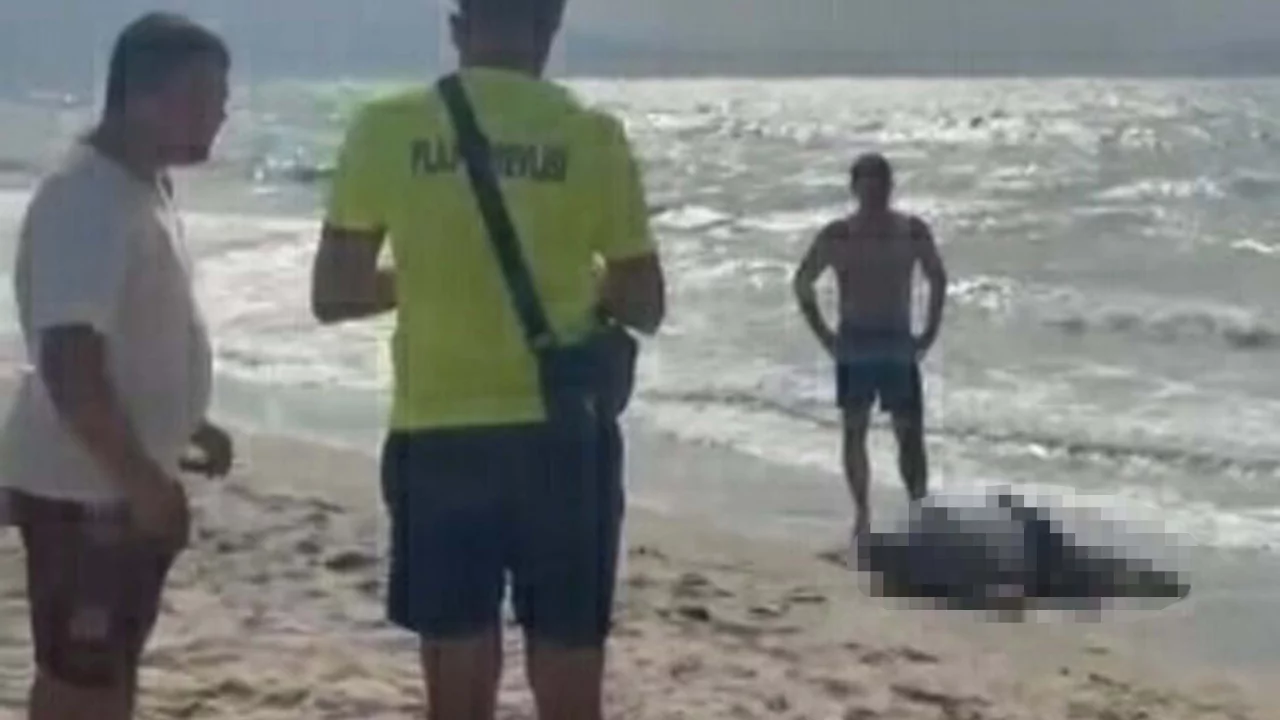Kuşadası'nda sahile vuran erkek cesedinin kimliği belli oldu