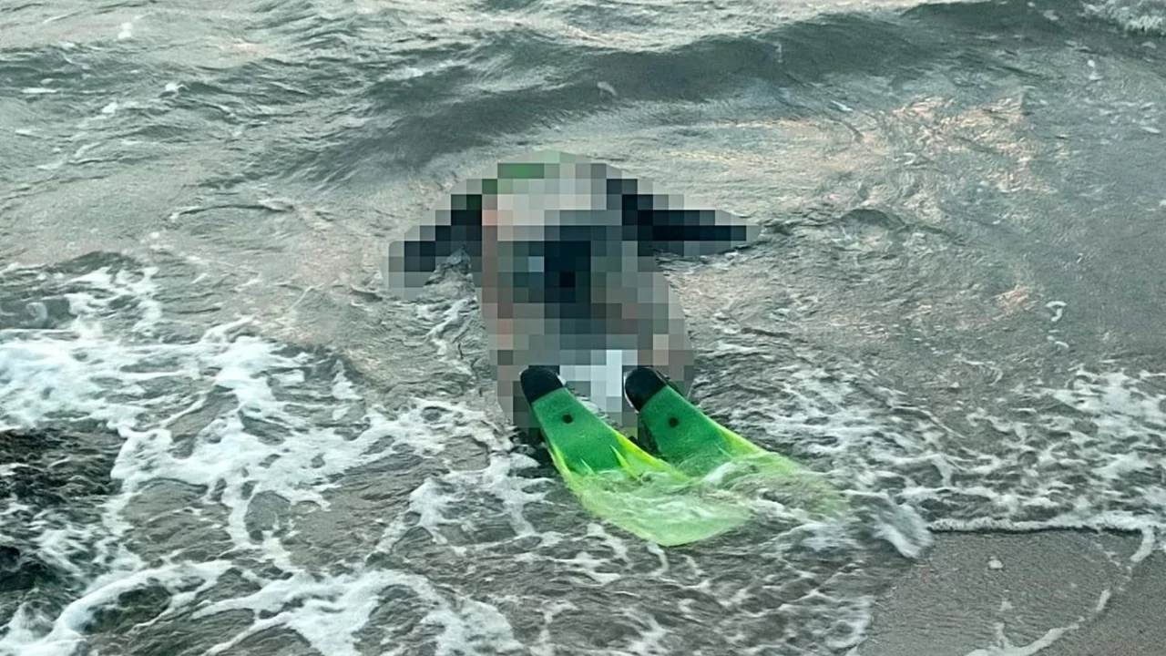 Didim'de kıyıda dalgıç kıyafetiyle ölü bulunmuştu! Kimliği belirlendi