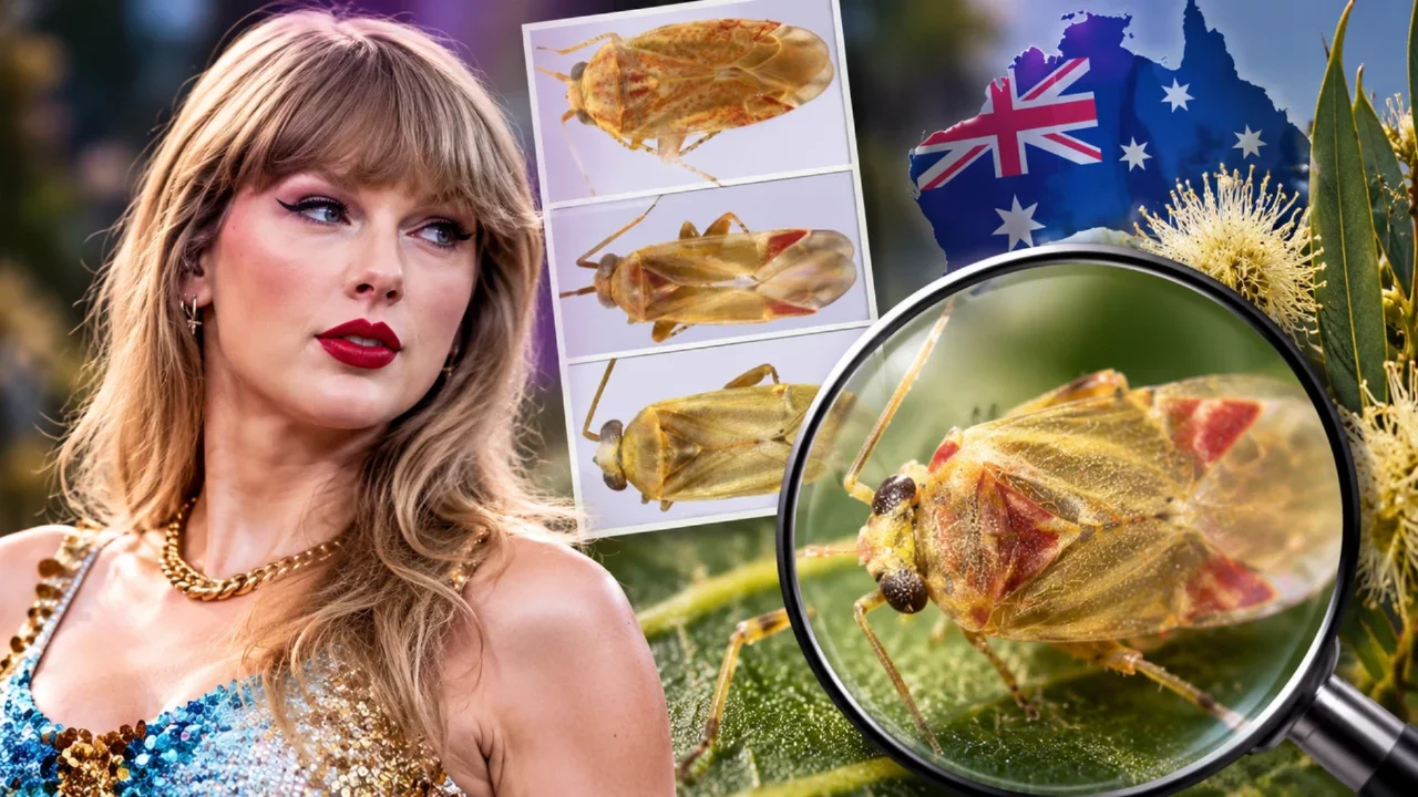 Taylor Swift'in adı bilim dünyasına taşındı! Dört yeni böcek türüne ünlü yıldızdan ilhamla isim verildi