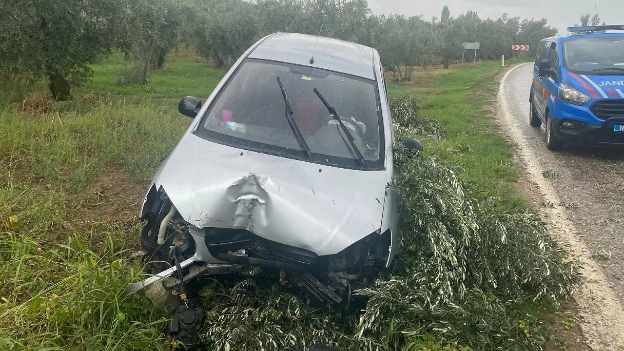 Bursa'da otomobil tarlaya u&ccedil;tu!