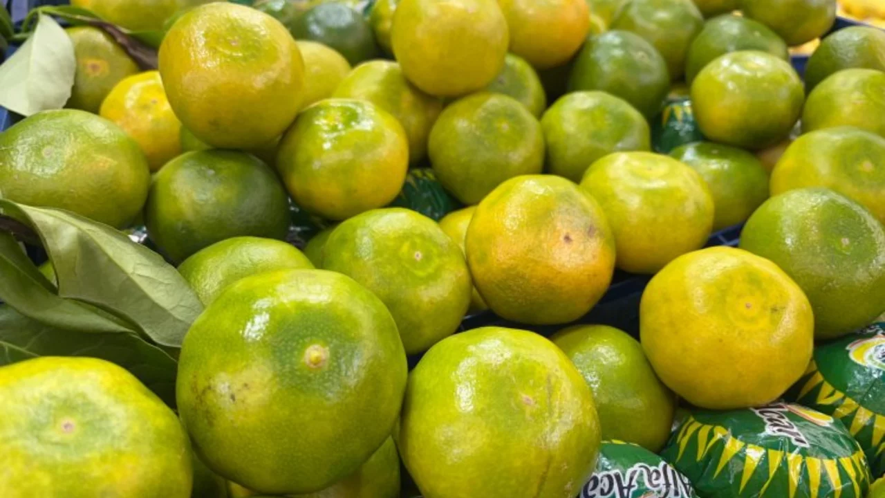 Bursa'da kışın habercisi mandalina tezgahlarda! İşte güncel fiyatı