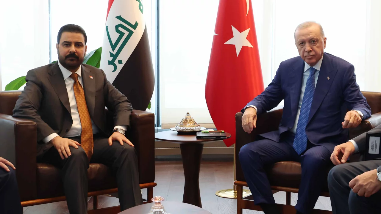 Cumhurbaşkanı Erdoğan, Irak Başbakanı Zeydi'yi kabul etti