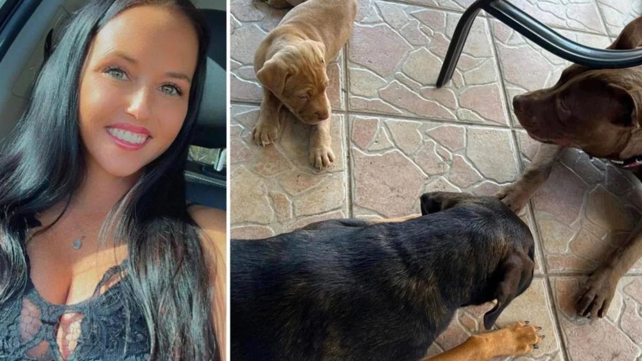 İki &ccedil;ocuk annesi eşini k&ouml;peğiyle ilişkiye girerken yakalamış!