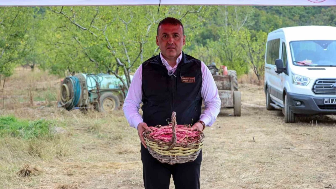 Bilecik'te 3 bin 700 dekarda barbunya hasadı başladı, 4 bin 500 ton hasat bekleniyor
