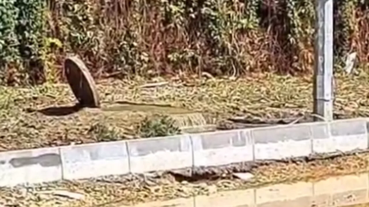 Bursa sahilinde tepki çeken görüntü! "Tüm pislik denize akıyor"