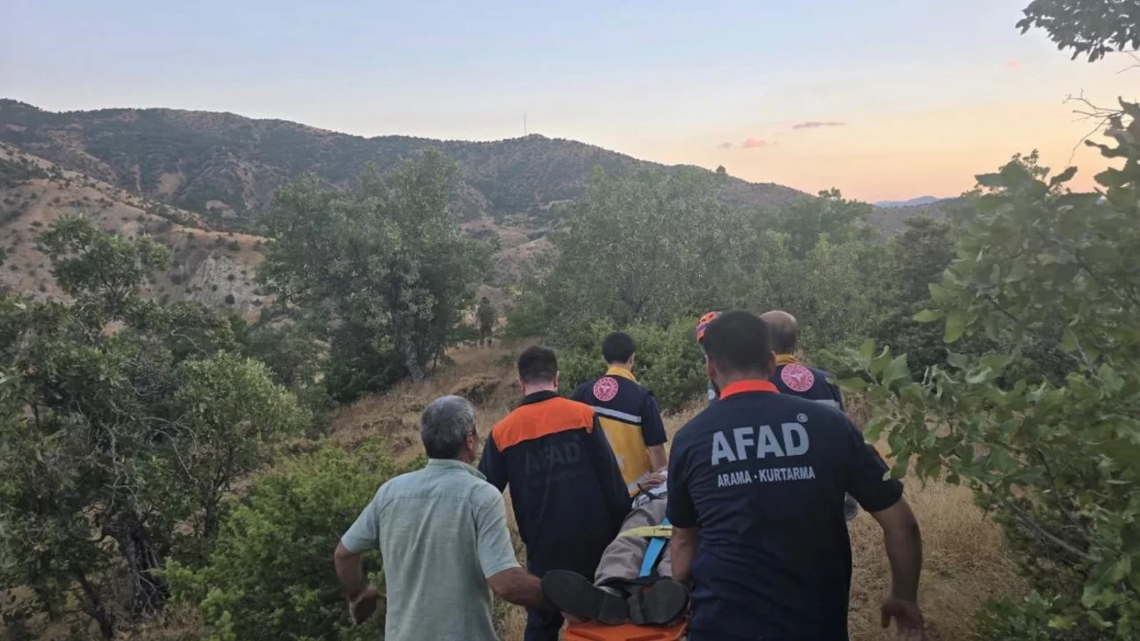 Bingöl'de kaybolan şahıs ormanlık alanda sağ bulundu