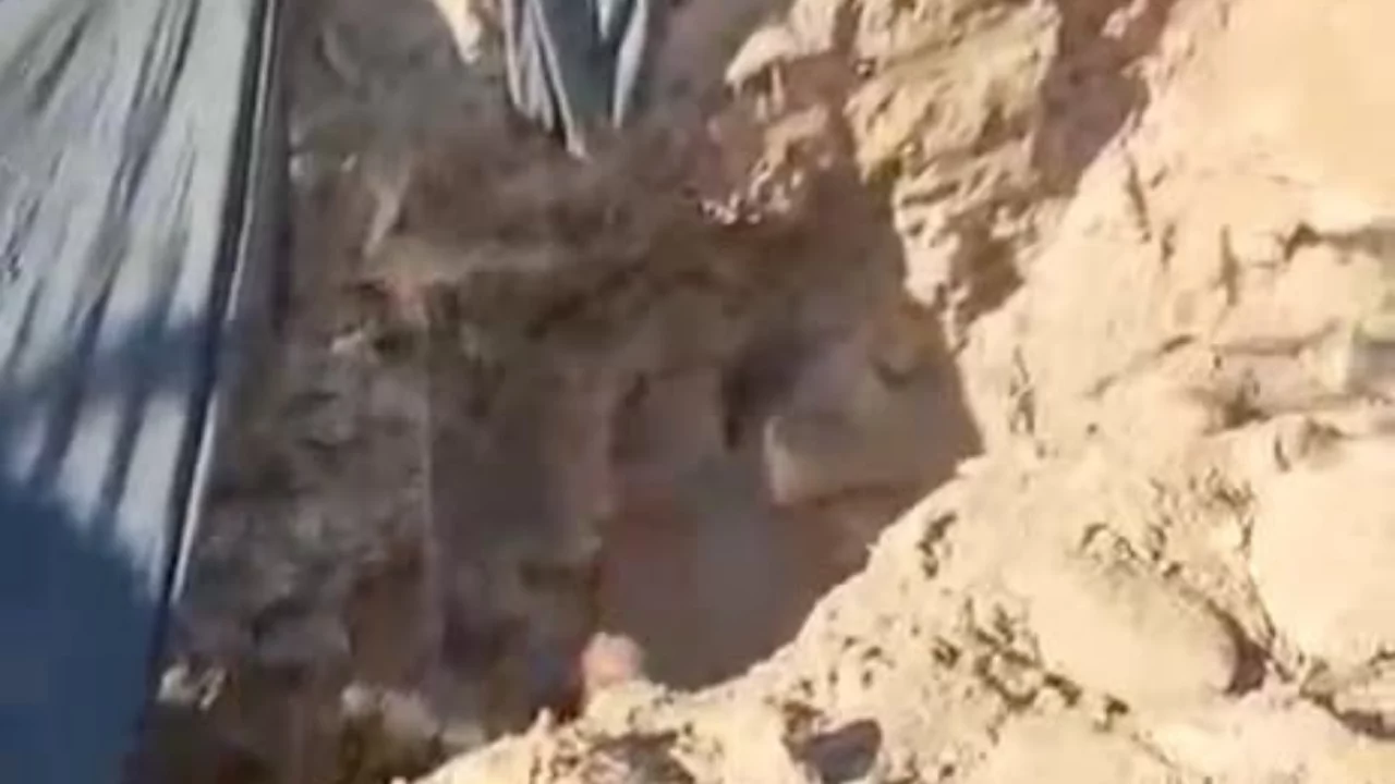 Aydın'da &ccedil;ilek bah&ccedil;esinde ka&ccedil;ak kazı baskını: 6 ş&uuml;pheli su&ccedil;&uuml;st&uuml; yakalandı
