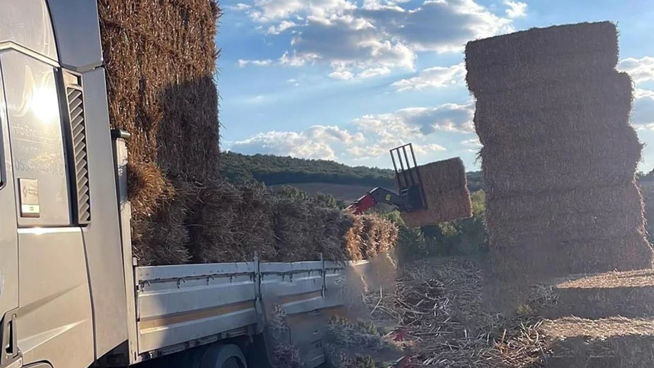 Tekirdağ Malkara'da &uuml;zerine yaklaşık 500 kilo saman balyası d&uuml;şen adam &ouml;ld&uuml;
