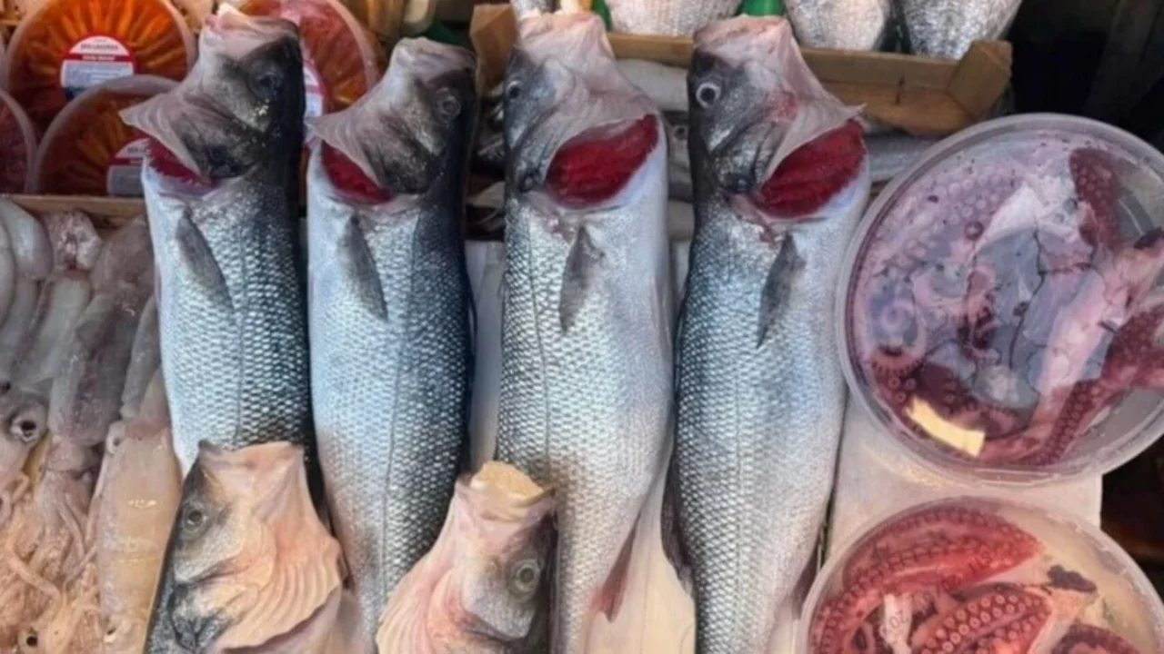 Bu yıl sezonun bereketi İstanbullu balık&ccedil;ıların y&uuml;z&uuml;n&uuml; g&uuml;ld&uuml;rd&uuml;