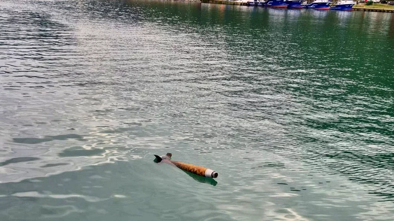 Deniz yüzeyinde roket alarmı