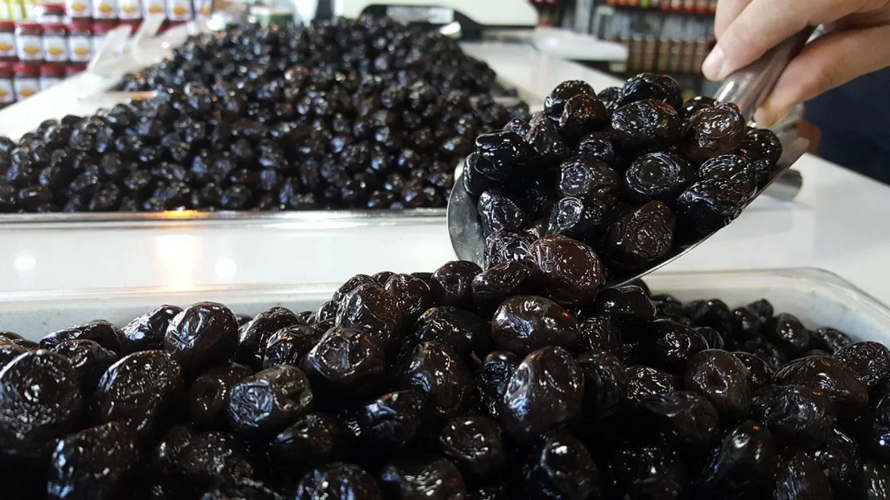 Zeytin &uuml;reticileri dikkat! Marmarabirlik'te sezon planını etkileyecek s&uuml;re&ccedil; başladı