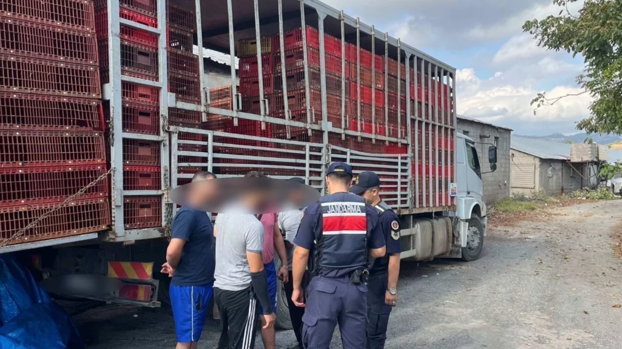 81 ilde d&uuml;ğmeye basıldı! 279 bin kişi kontrol edildi, y&uuml;zlerce kişi yakalandı