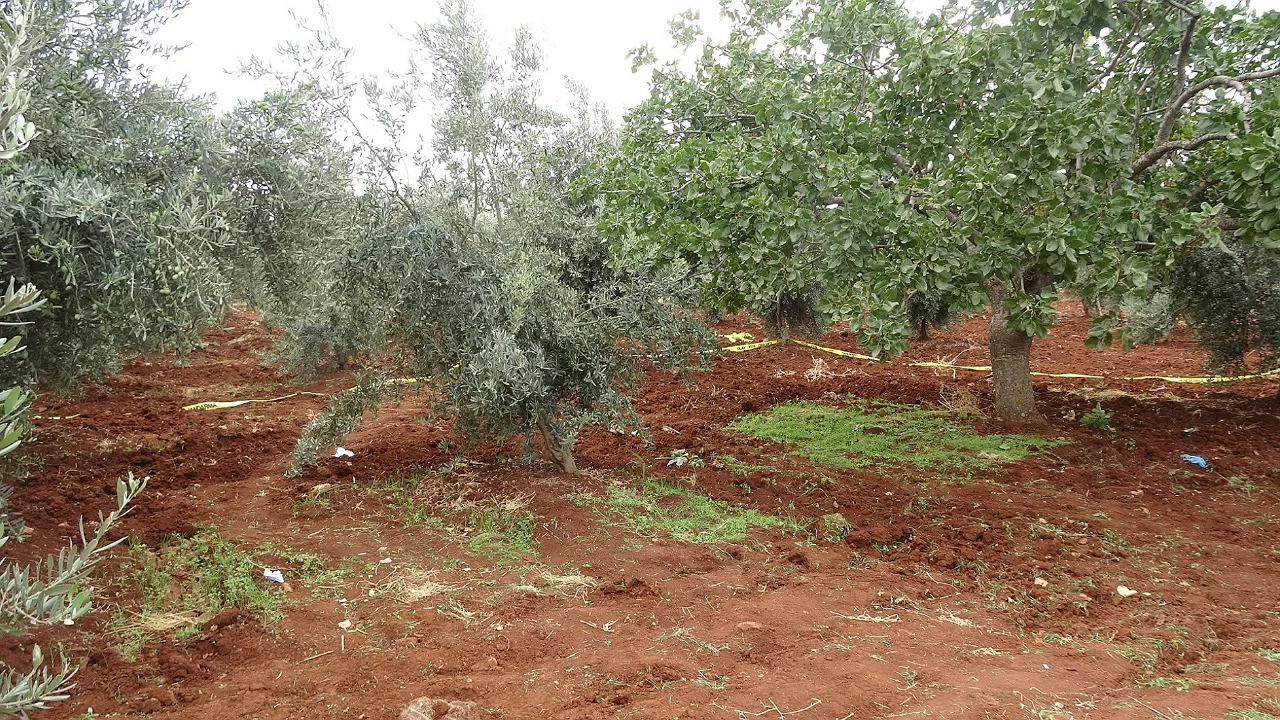 Tarlasını sürerken traktörden düşerek hayatını kaybetti