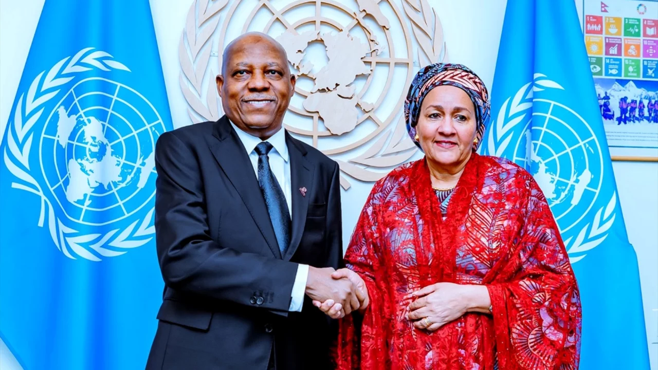 Nijerya'dan BM G&uuml;venlik Konseyi &ccedil;ağrısı: Afrika i&ccedil;in eşit s&ouml;z hakkı talebi