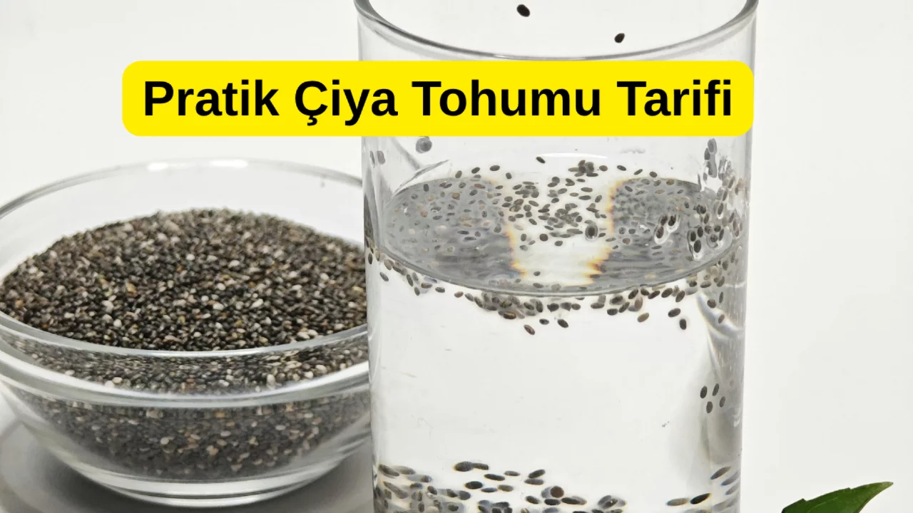 Çiya tohumu nedir, Nasıl tüketilir? İşte faydaları ve Pratik Çiya Tohumu Tarifi