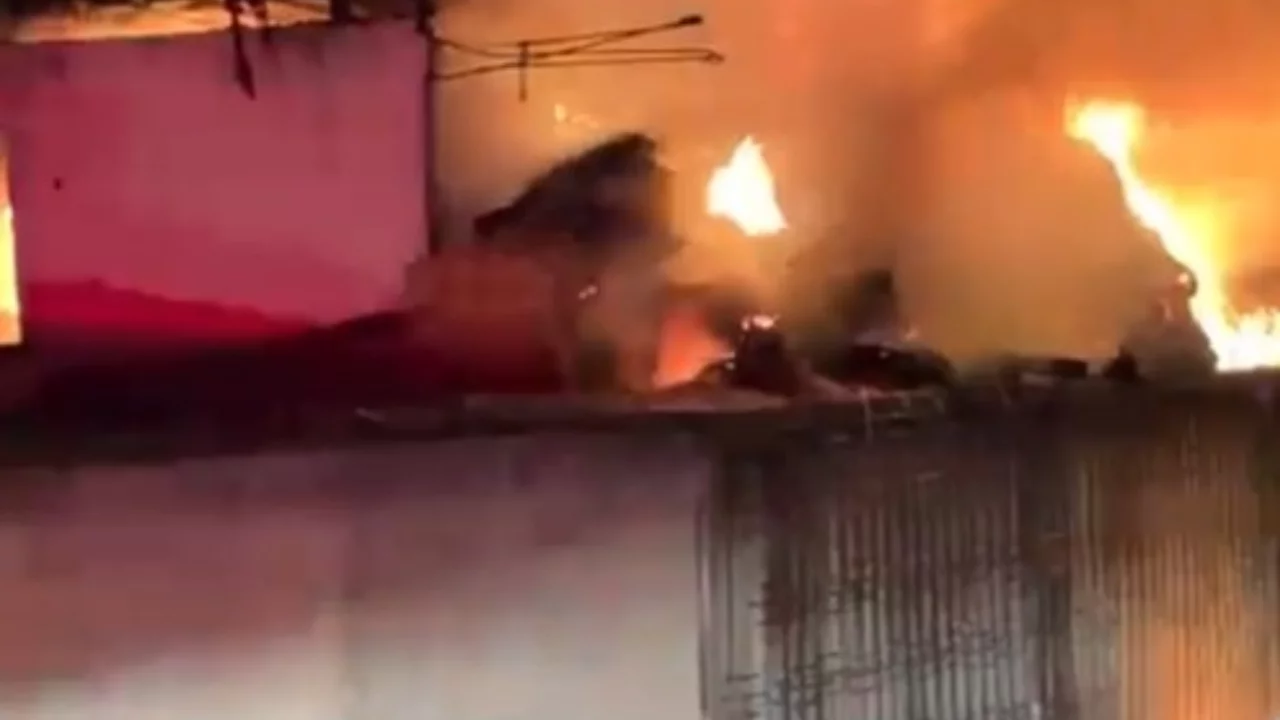 Bursa'da yangın &ccedil;iftliği sardı: Hayvanlar tahliye edildi, trakt&ouml;r yandı