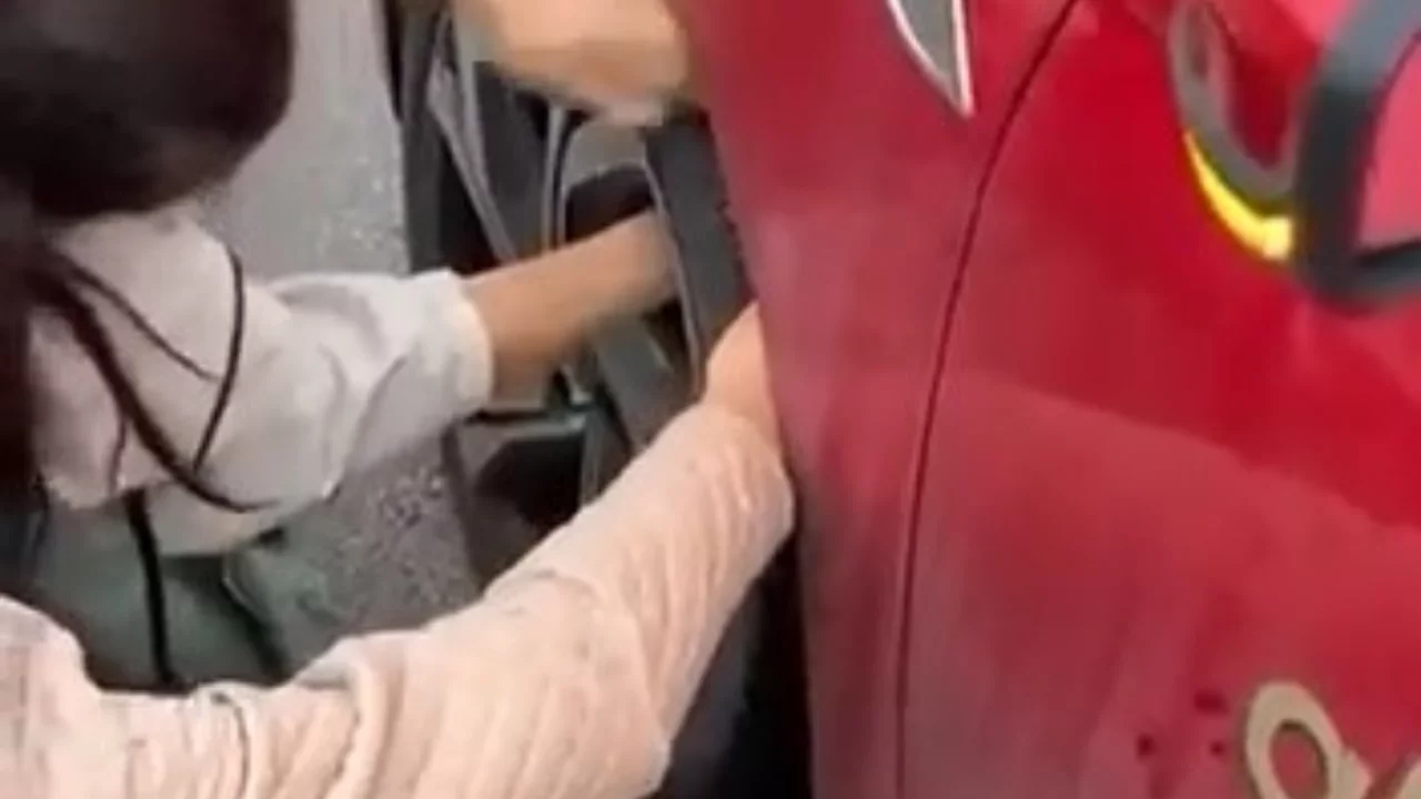 Bursa'da trafiği durduran olay! Yavru kedi canını son anda kurtardı