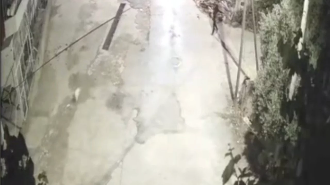 Önce motosikletle kovaladılar sonra köpeği çaldılar