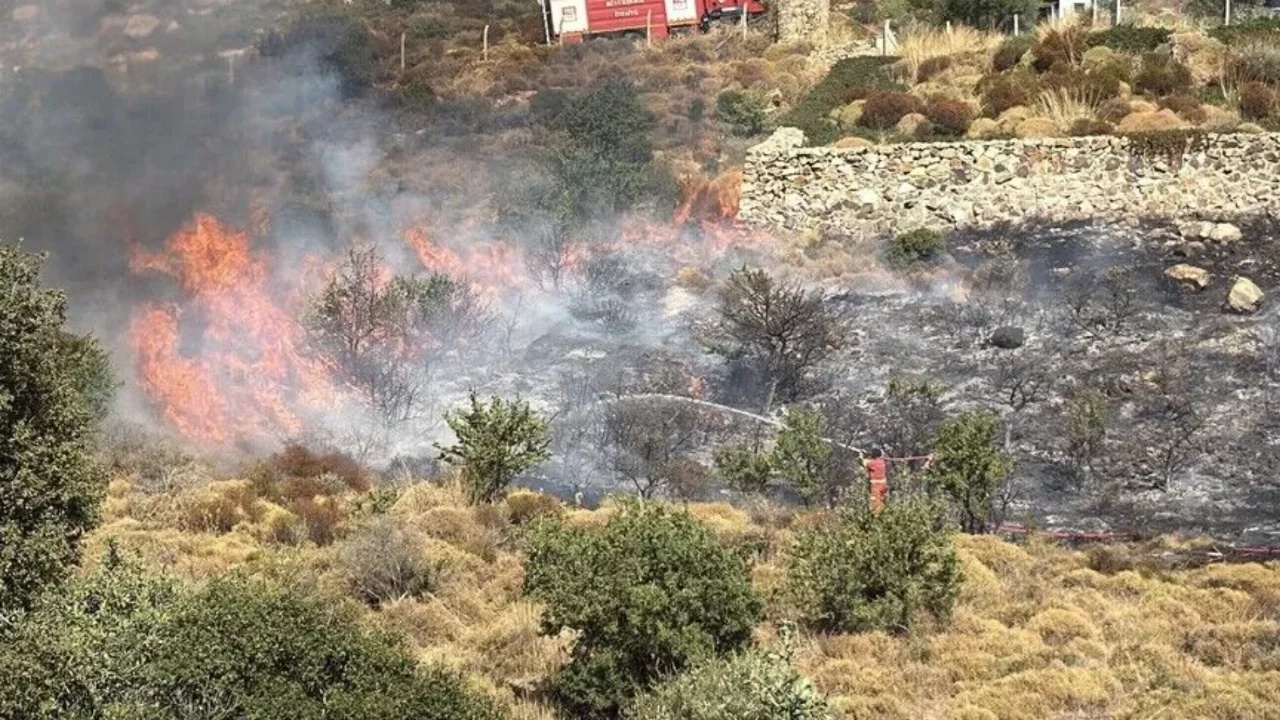 Bodrum'da makilik alanda yangın paniği! Ekipler hızla m&uuml;dahale etti