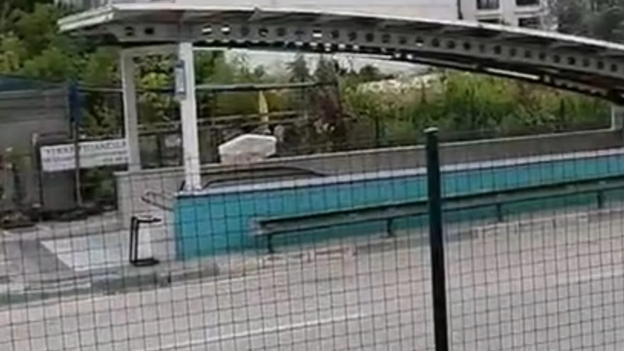 Bursa'da g&ouml;ren herkes aynı soruyu soruyor: 'Buraya nasıl geldi?'