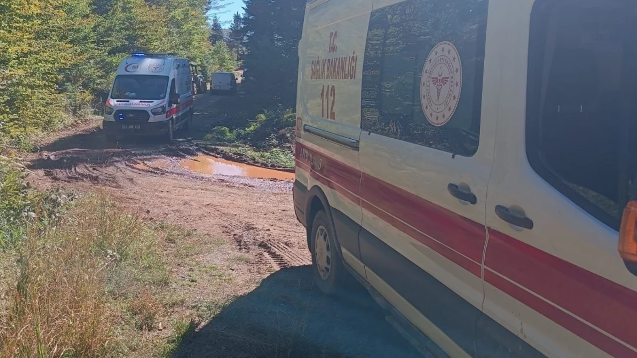Pamukova'da yayla yolunda trakt&ouml;r faciası: Dede hayatını kaybetti, torunu yaralandı