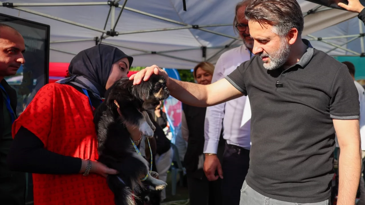 B&uuml;y&uuml;kşehir'den can dostları i&ccedil;in yuva seferberliği