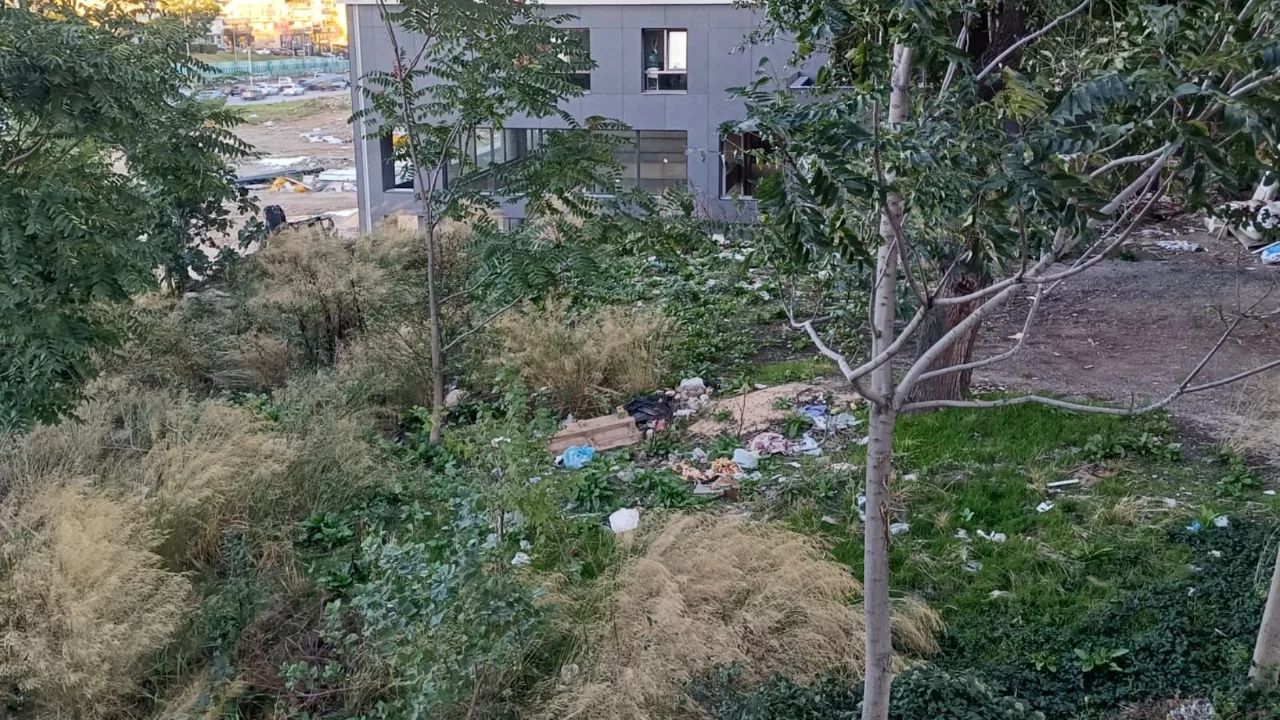 Bursa'da mahalleliyi isyan ettiren görüntü! Ağaçların dipleri dolup taşıyor...