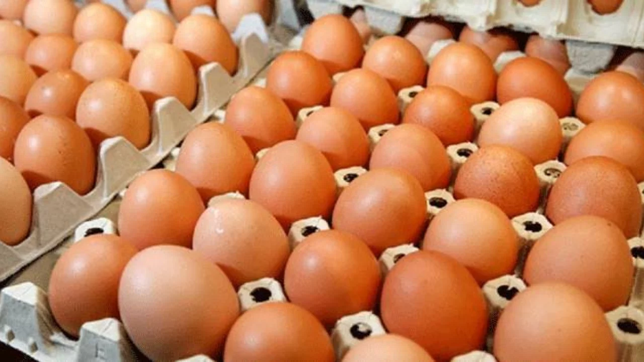 Omlet nasıl yapılır? Puf puf ve yumuşak omletin püf noktaları