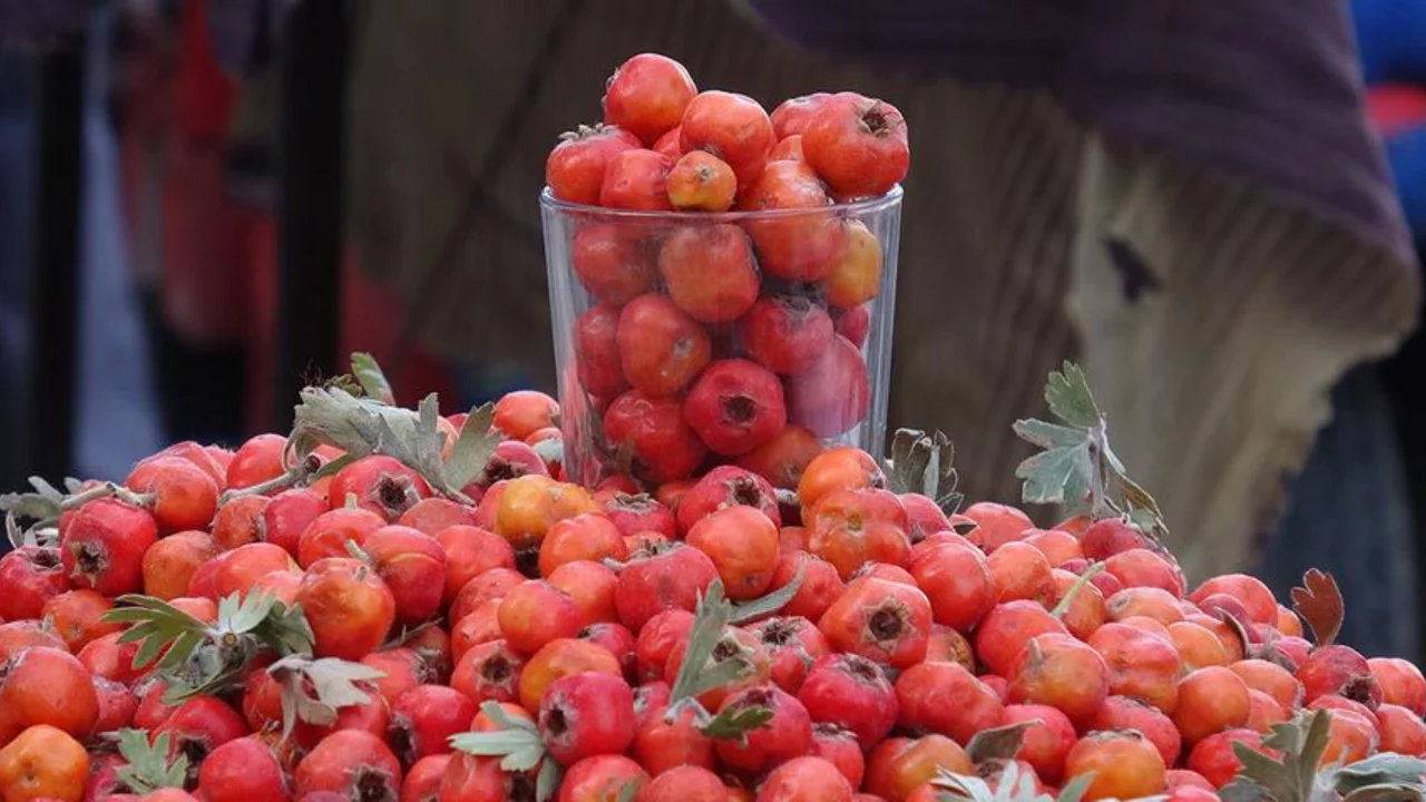 Kilosu 400 TL: Su bardağı ölçüsüyle 50 TL'ye alıyorlar