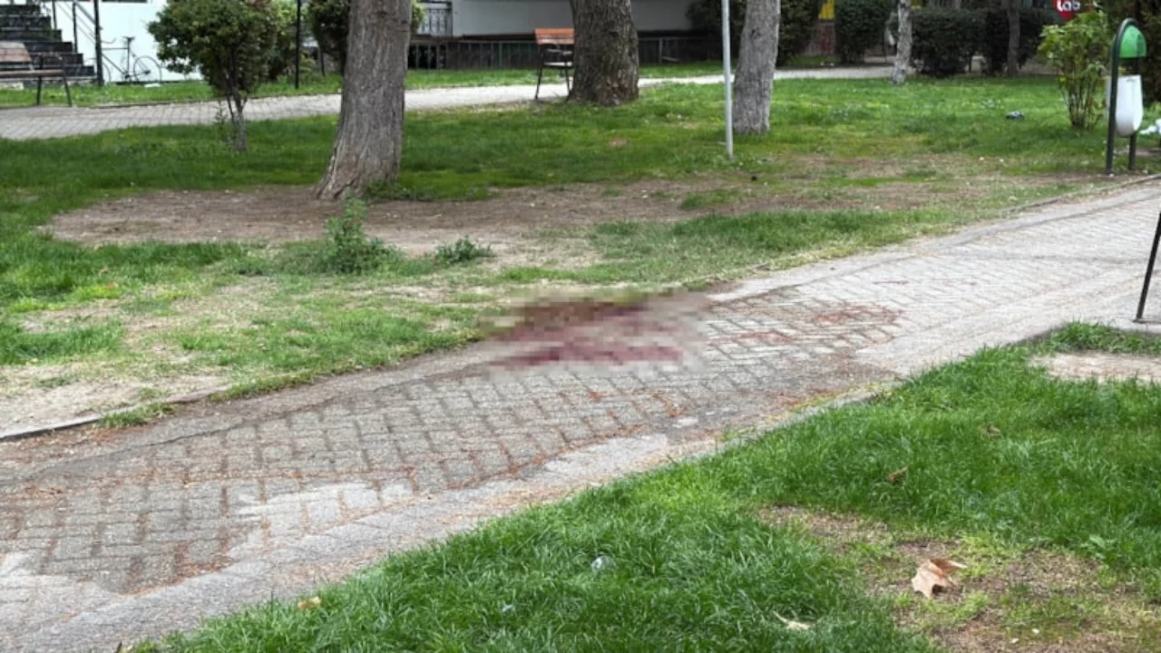 &Ccedil;ıkan tartışmada arkadaşını ağır yaraladı