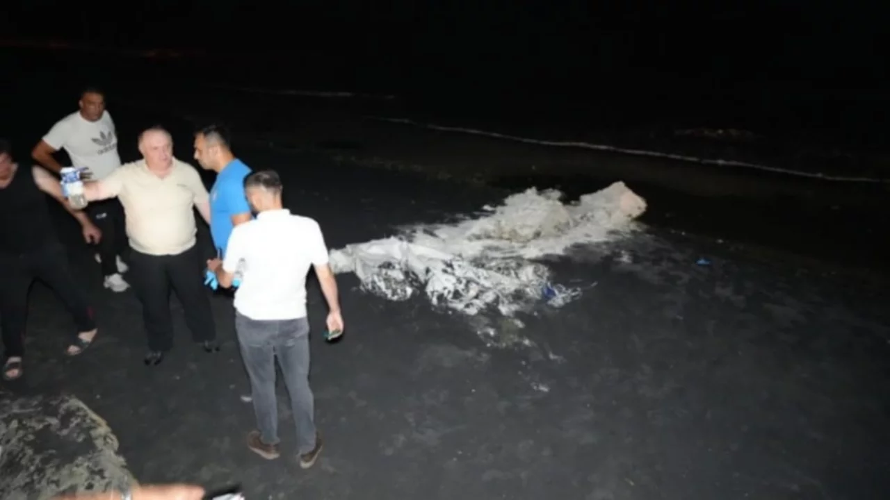Samsun sahillerine vuran gizemli beyaz tozun ne olduğu belli oldu